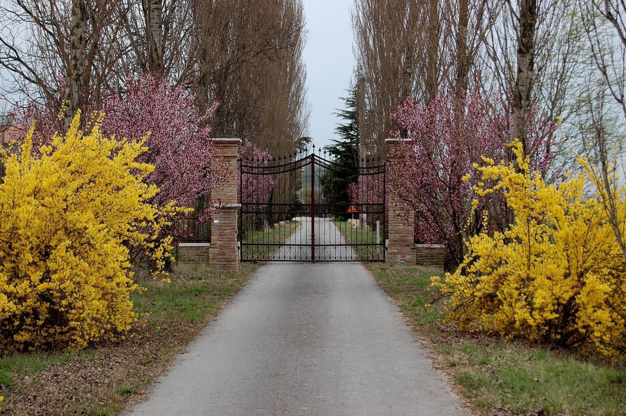 Agriturismo Corte Rocca San Giorgio di Mantova Εξωτερικό φωτογραφία
