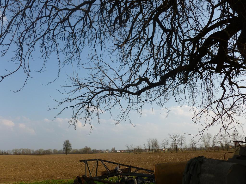 Agriturismo Corte Rocca San Giorgio di Mantova Εξωτερικό φωτογραφία