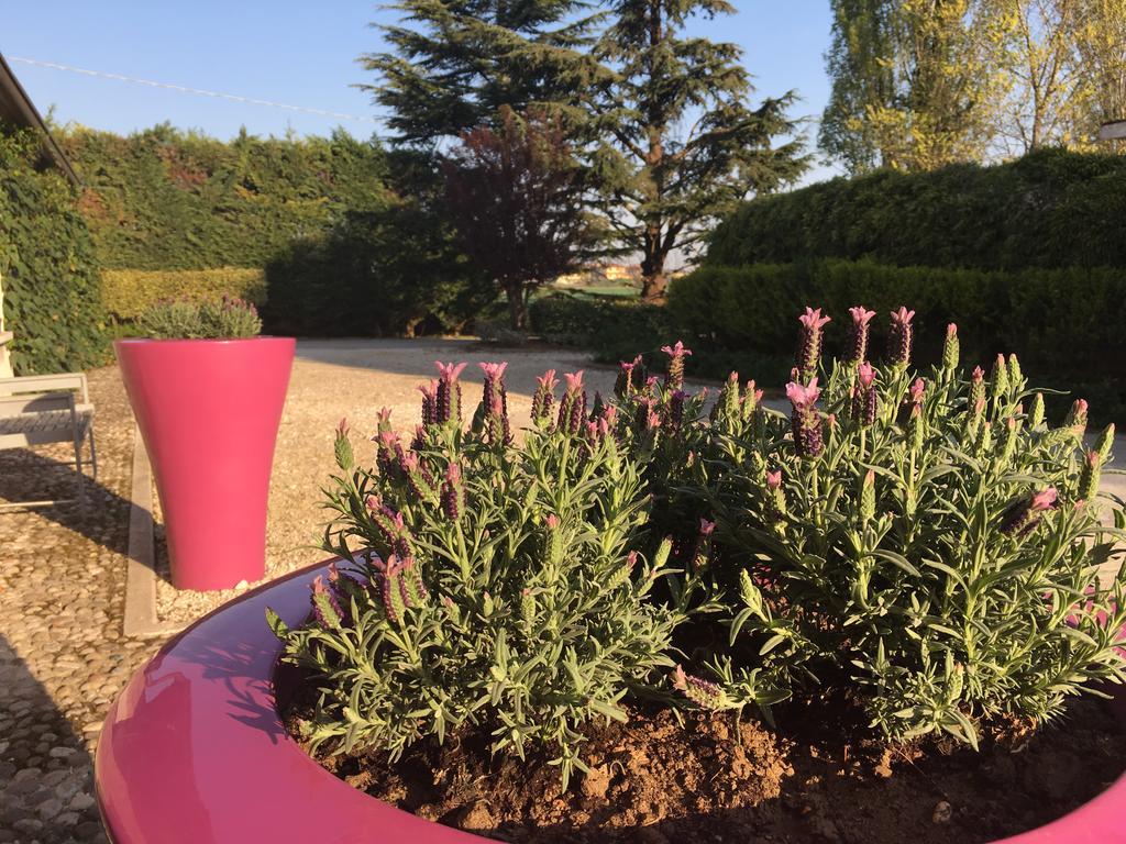 Agriturismo Corte Rocca San Giorgio di Mantova Εξωτερικό φωτογραφία