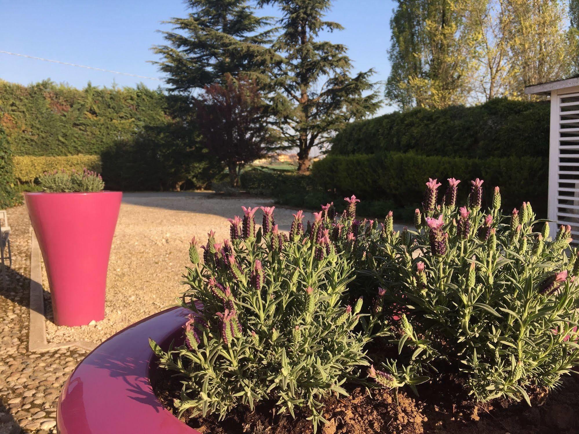 Agriturismo Corte Rocca San Giorgio di Mantova Εξωτερικό φωτογραφία